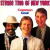 String Trio Of New York - Common Goal